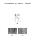 PROCESS FOR SYNTHESIZING CARBON NANOTUBES ON MULTIPLE SUPPORTS diagram and image