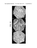 FUNCTIONALIZED BLOCK COMPOSITE AND CRYSTALLINE BLOCK COMPOSITE     COMPOSITIONS AS COMPATIBILIZERS diagram and image