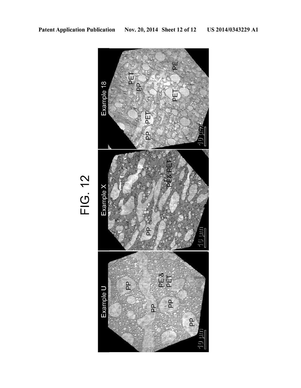 FUNCTIONALIZED BLOCK COMPOSITE AND CRYSTALLINE BLOCK COMPOSITE     COMPOSITIONS AS COMPATIBILIZERS - diagram, schematic, and image 13