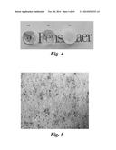 Silicone Based Nanocomposites Including Inorganic Nanoparticles and Their     Methods of Manufacture and Use diagram and image