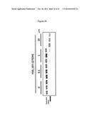 ANTISENSE NUCLEIC ACIDS diagram and image