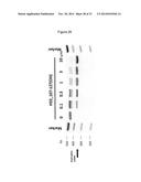 ANTISENSE NUCLEIC ACIDS diagram and image