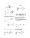 BORONATE ESTER COMPOUNDS AND PHARMACEUTICAL COMPOSITIONS THEREOF diagram and image