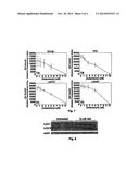 METHODS AND RELATED COMPOSITIONS FOR THE TREATMENT OF CANCER diagram and image