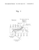 BIOMAGNETIC RESONANCE DEVICE AND MEASURING METHOD THEREFOR diagram and image