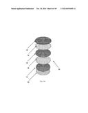 TISSUE SCAFFOLD diagram and image