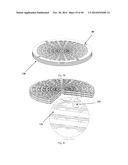 TISSUE SCAFFOLD diagram and image