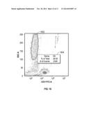 SYSTEMS AND METHODS FOR EFFICIENT CONTOURS AND GATING IN FLOW CYTOMETRY diagram and image