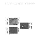 Semiconductor Layer Including Compositional Inhomogeneities diagram and image