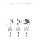 Semiconductor Layer Including Compositional Inhomogeneities diagram and image