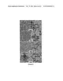 MATERIALS AND METHODS FOR THE PREPARATION OF NANOCOMPOSITES diagram and image