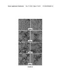 MATERIALS AND METHODS FOR THE PREPARATION OF NANOCOMPOSITES diagram and image