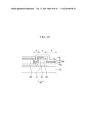 ORGANIC LIGHT EMITTING DIODE DISPLAY diagram and image