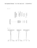 Zoom Lens and Imaging Apparatus diagram and image