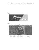 ELECTRODE FOR ELECTROCHEMICAL DEVICE, ELECTROCHEMICAL DEVICE, AND METHOD     FOR MANUFACTURING ELECTRODE FOR ELECTROCHEMICAL DEVICE diagram and image