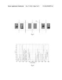 METHOD AND APPARATUS FOR DETECTING TRAFFIC VIDEO INFORMATION diagram and image