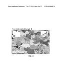 METHOD FOR IMPROVING MOULDABILITY OF MAGNESIUM-ALLOY SHEET MATERIAL, AND     MAGNESIUM-ALLOY SHEET MATERIAL PRODUCED THEREBY diagram and image