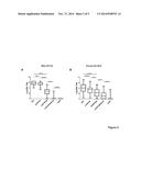 MODIFIED ADENOVIRAL VECTORS AND METHODS OF TREATMENT USING SAME diagram and image