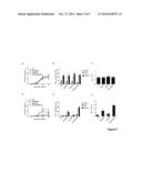 MODIFIED ADENOVIRAL VECTORS AND METHODS OF TREATMENT USING SAME diagram and image