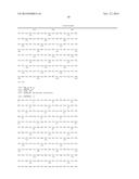 ARGINNE DEIMINASE WITH REDUCED CROSS-REACTIVITY TOWARD ADI - PEG 20     ANTIBODIES FOR CANCER TREATMENT diagram and image