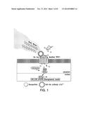 COMPOSITIONS AND METHODS TO MODULATE CELL ACTIVITY diagram and image