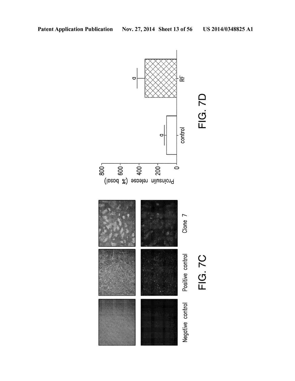 COMPOSITIONS AND METHODS TO MODULATE CELL ACTIVITY - diagram, schematic, and image 14