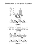 COMPOSITIONS AND METHODS TO MODULATE CELL ACTIVITY diagram and image