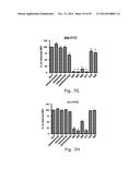 NOVEL METHODS AND ANTIBODIES FOR TREATING CANCER diagram and image