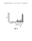 NOVEL METHODS AND ANTIBODIES FOR TREATING CANCER diagram and image