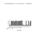 NOVEL METHODS AND ANTIBODIES FOR TREATING CANCER diagram and image