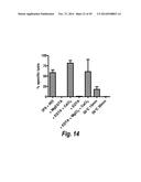 NOVEL METHODS AND ANTIBODIES FOR TREATING CANCER diagram and image