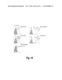 NOVEL METHODS AND ANTIBODIES FOR TREATING CANCER diagram and image