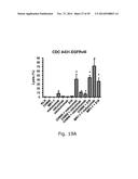 NOVEL METHODS AND ANTIBODIES FOR TREATING CANCER diagram and image