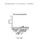 NOVEL METHODS AND ANTIBODIES FOR TREATING CANCER diagram and image