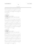 NOVEL METHODS AND ANTIBODIES FOR TREATING CANCER diagram and image