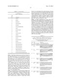 ANTI-DLL4/VEGF DUAL VARIABLE DOMAIN IMMUNOGLOBULIN AND USES THEREOF diagram and image