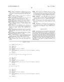 ANTI-DLL4/VEGF DUAL VARIABLE DOMAIN IMMUNOGLOBULIN AND USES THEREOF diagram and image