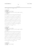 ANTI-DLL4/VEGF DUAL VARIABLE DOMAIN IMMUNOGLOBULIN AND USES THEREOF diagram and image