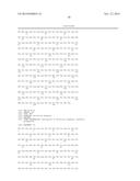 ANTI-DLL4/VEGF DUAL VARIABLE DOMAIN IMMUNOGLOBULIN AND USES THEREOF diagram and image