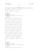 ANTI-DLL4/VEGF DUAL VARIABLE DOMAIN IMMUNOGLOBULIN AND USES THEREOF diagram and image