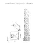 CMV ANTIGENS AND USES THEREOF diagram and image