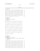 CMV ANTIGENS AND USES THEREOF diagram and image