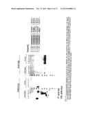 CMV ANTIGENS AND USES THEREOF diagram and image