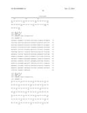 CMV ANTIGENS AND USES THEREOF diagram and image