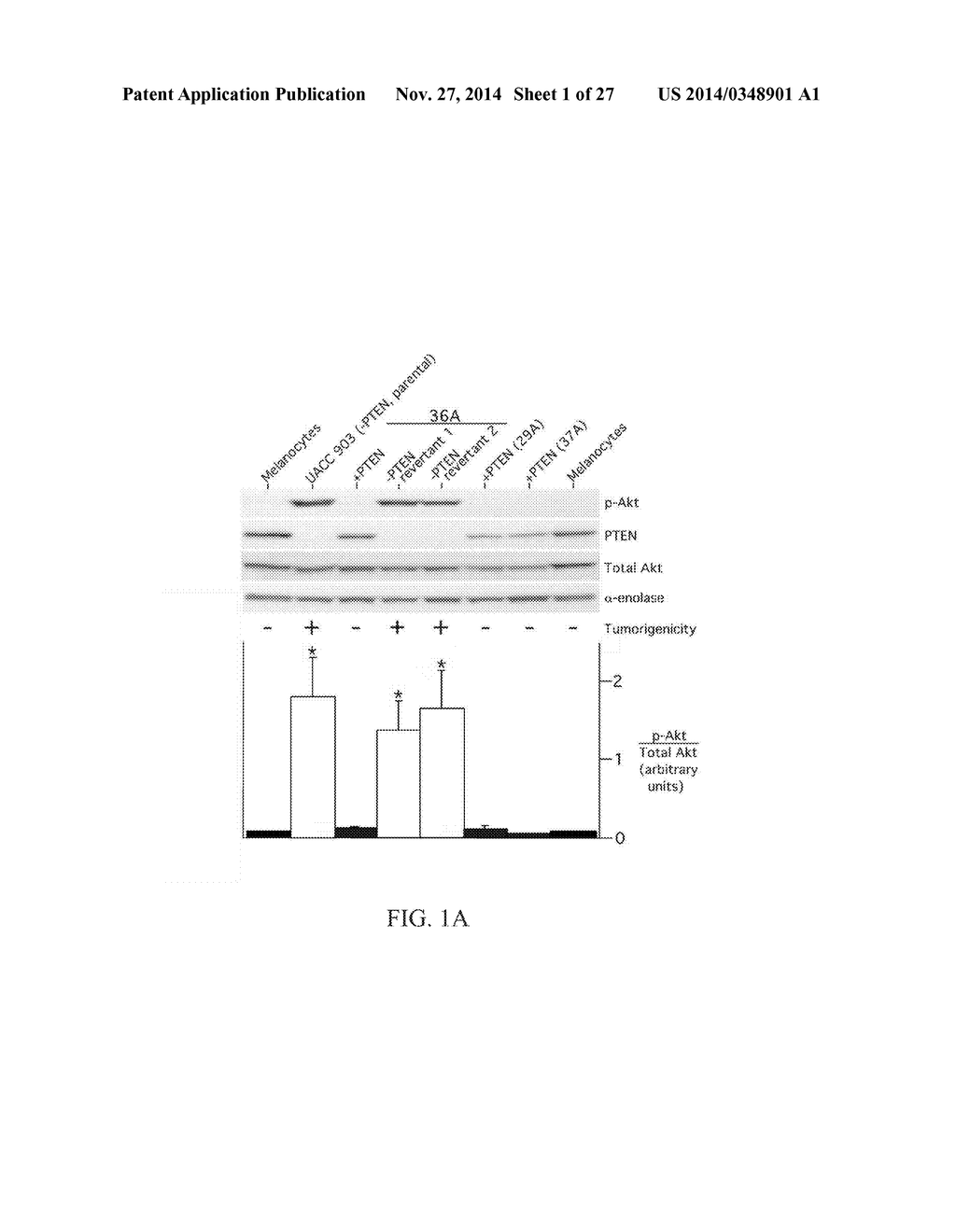 COMBINATORIAL METHODS AND COMPOSITIONS FOR TREATMENT OF MELANOMA - diagram, schematic, and image 02