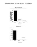 COMBINATORIAL METHODS AND COMPOSITIONS FOR TREATMENT OF MELANOMA diagram and image