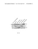 COMBINATORIAL METHODS AND COMPOSITIONS FOR TREATMENT OF MELANOMA diagram and image