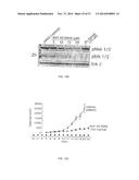 COMBINATORIAL METHODS AND COMPOSITIONS FOR TREATMENT OF MELANOMA diagram and image