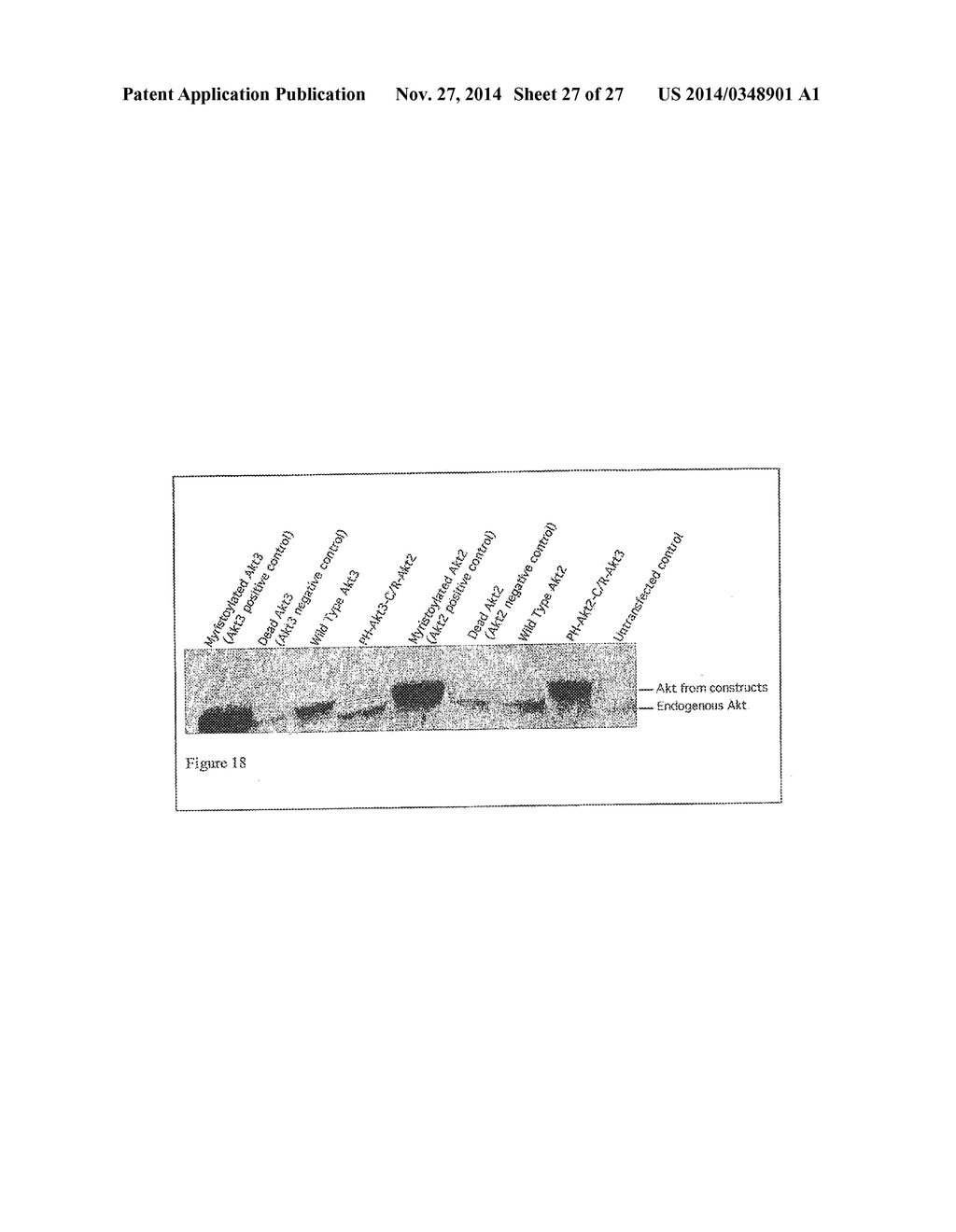 COMBINATORIAL METHODS AND COMPOSITIONS FOR TREATMENT OF MELANOMA - diagram, schematic, and image 28