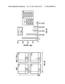 TCL1 PEPTIDES FOR IMMUNOTHERAPY diagram and image